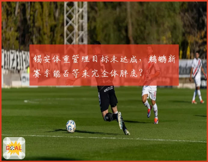 锡安体重管理目标未达成，鹈鹕新赛季能否等来完全体胖虎？