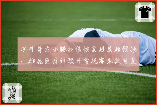字母哥左小腿拉伤恢复进度超预期，雄鹿医疗组预计常规赛末段可复出