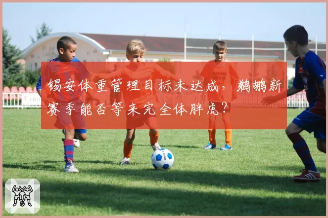 锡安体重管理目标未达成，鹈鹕新赛季能否等来完全体胖虎？