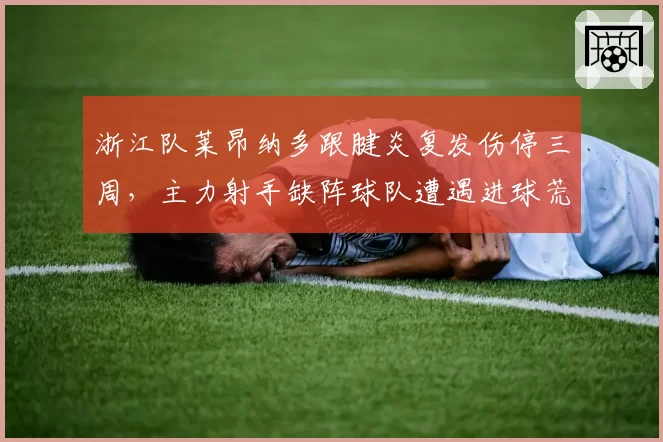 浙江队莱昂纳多跟腱炎复发伤停三周，主力射手缺阵球队遭遇进球荒__br_