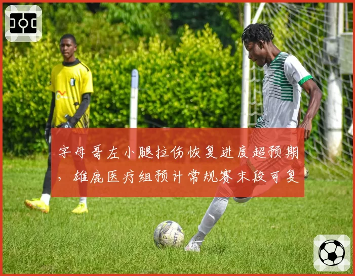 字母哥左小腿拉伤恢复进度超预期，雄鹿医疗组预计常规赛末段可复出