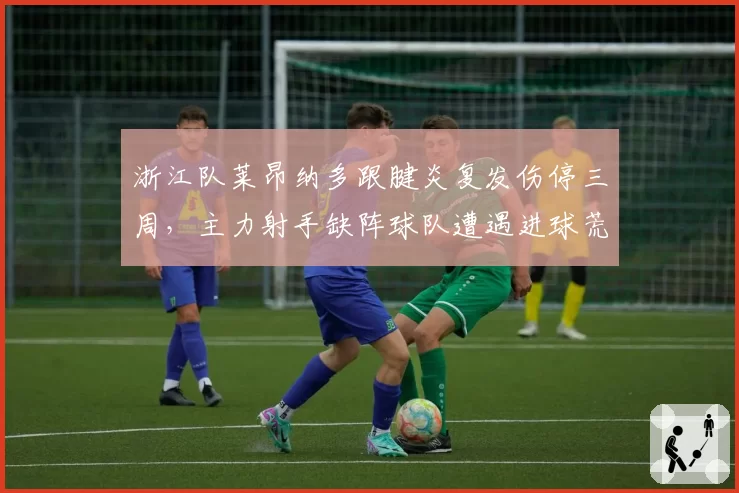 浙江队莱昂纳多跟腱炎复发伤停三周，主力射手缺阵球队遭遇进球荒__br_